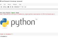 Display Jupyter Notebooks with Academic
