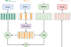 Vietnamese Voice Conversion